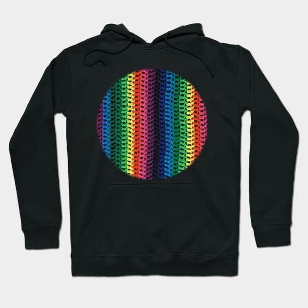 Rainbow crochet Hoodie by Bwiselizzy